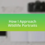 How I Approach Wildlife Portraits