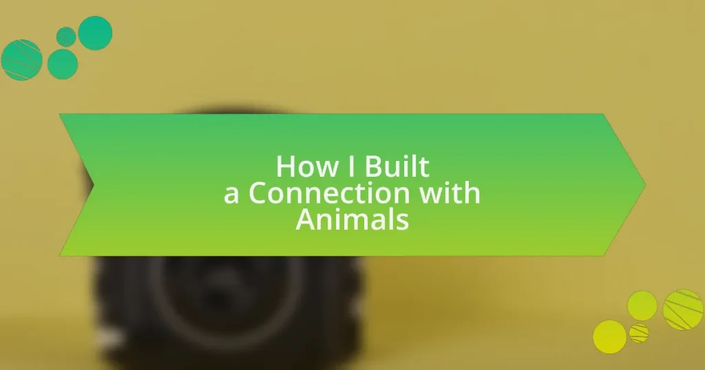 How I Built a Connection with Animals