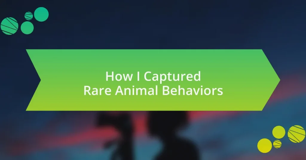 How I Captured Rare Animal Behaviors