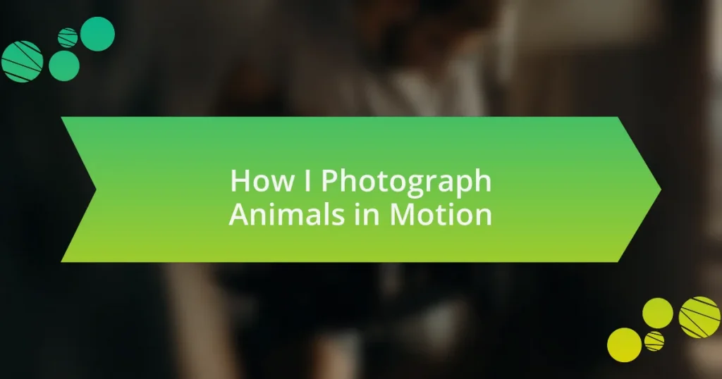 How I Photograph Animals in Motion