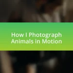 How I Photograph Animals in Motion