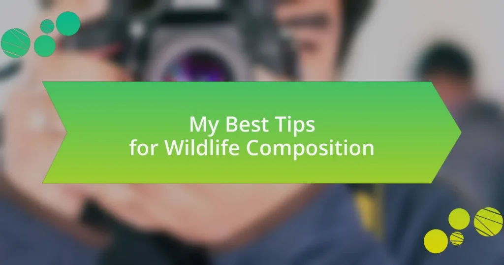 My Best Tips for Wildlife Composition