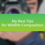 My Best Tips for Wildlife Composition