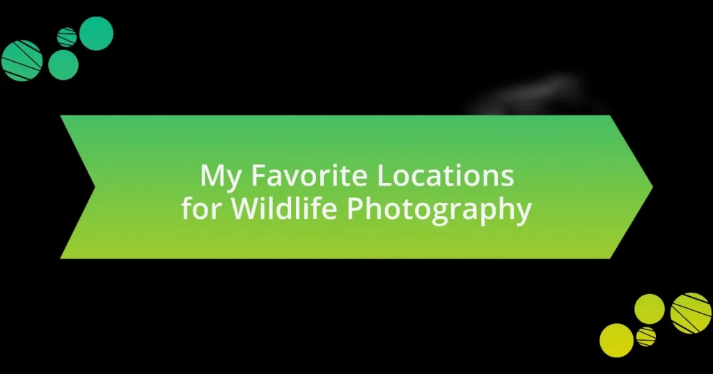 My Favorite Locations for Wildlife Photography