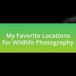 My Favorite Locations for Wildlife Photography