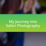 My Journey into Safari Photography