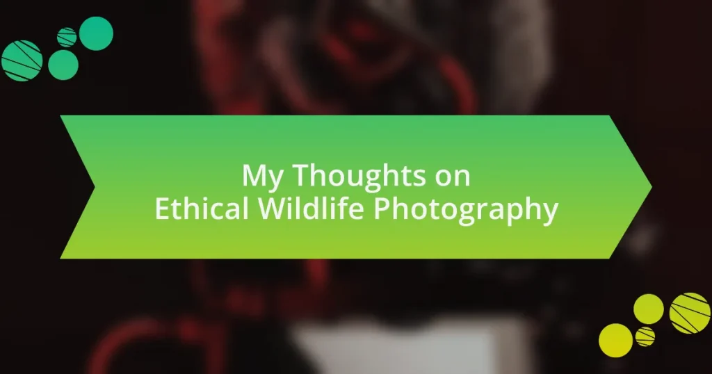 My Thoughts on Ethical Wildlife Photography