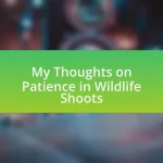 My Thoughts on Patience in Wildlife Shoots