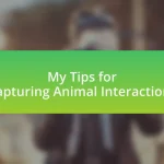 My Tips for Capturing Animal Interactions