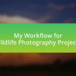 My Workflow for Wildlife Photography Projects