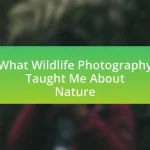 What Wildlife Photography Taught Me About Nature